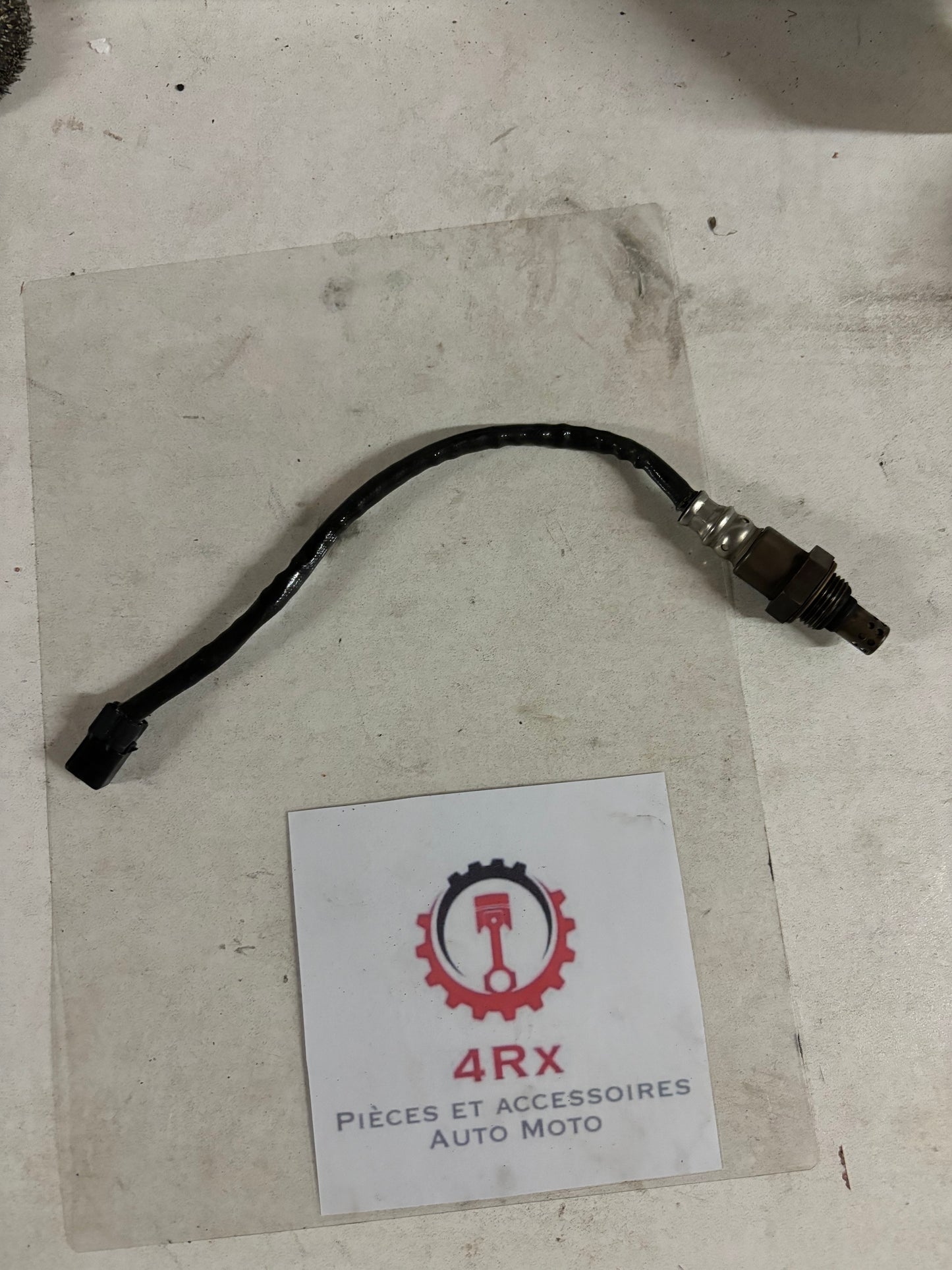 Sonde échappement lambda oxygène Yamaha mt09 2013/2016