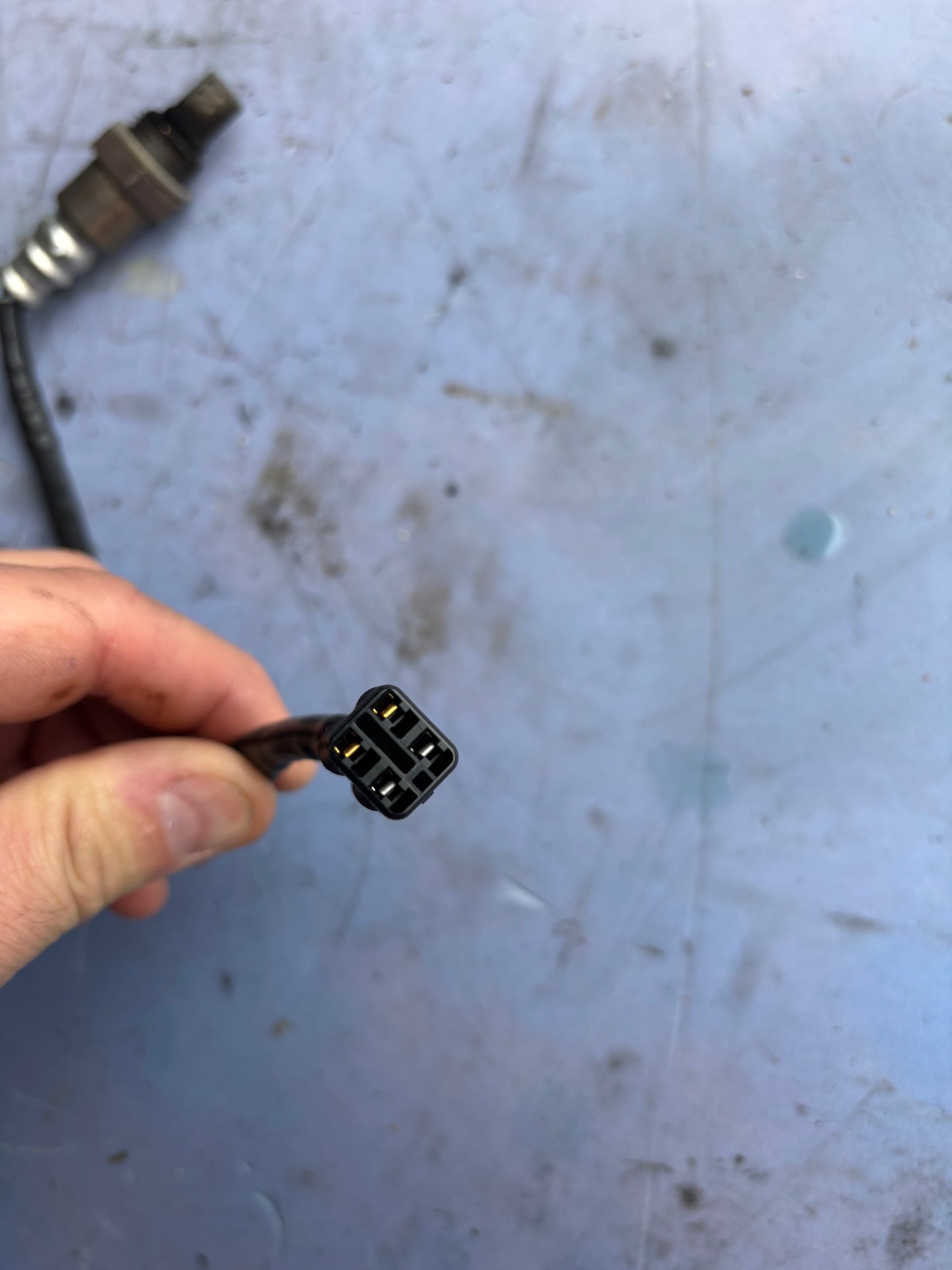 Sonde échappement lambda oxygène Yamaha mt09 2017/2020