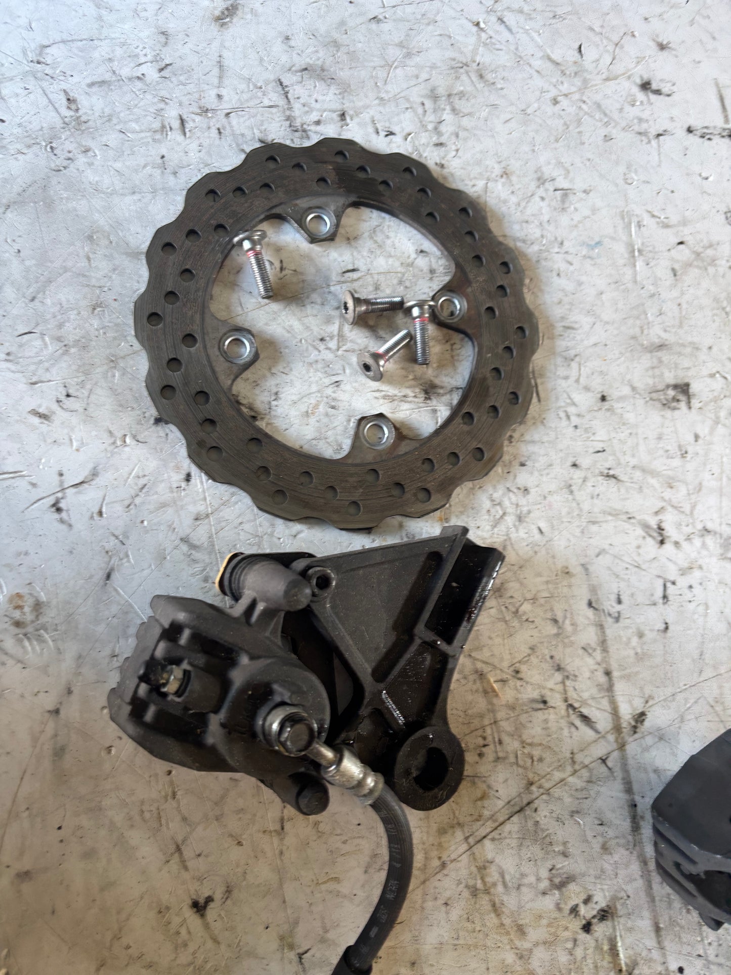 Bremssattel und Bremsscheibe hinten Kawasaki Er6n Er6f