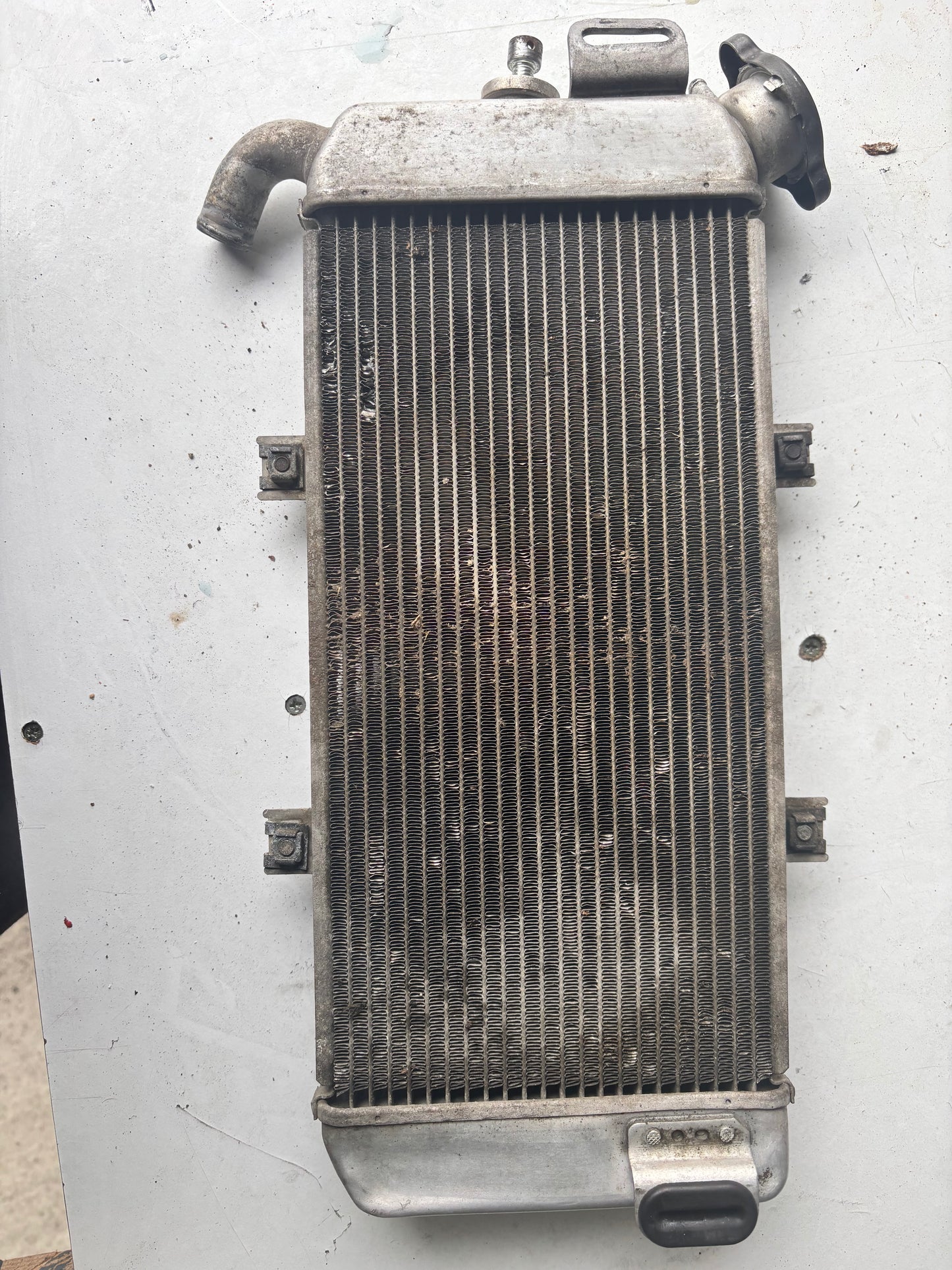 Kühler Kawasaki ER-6n 2005/2008